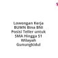 Lowongan Kerja BUMN Bina BNI Posisi Teller untuk SMA Hingga S1 Wilayah Gunungkidul