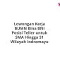 Lowongan Kerja BUMN Bina BNI Posisi Teller untuk SMA Hingga S1 Wilayah Indramayu