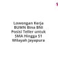 Lowongan Kerja BUMN Bina BNI Posisi Teller untuk SMA Hingga S1 Wilayah Jayapura