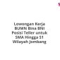 Lowongan Kerja BUMN Bina BNI Posisi Teller untuk SMA Hingga S1 Wilayah Jombang