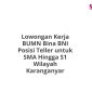 Lowongan Kerja BUMN Bina BNI Posisi Teller untuk SMA Hingga S1 Wilayah Karanganyar