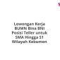 Lowongan Kerja BUMN Bina BNI Posisi Teller untuk SMA Hingga S1 Wilayah Kebumen