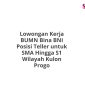 Lowongan Kerja BUMN Bina BNI Posisi Teller untuk SMA Hingga S1 Wilayah Kulon Progo
