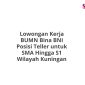 Lowongan Kerja BUMN Bina BNI Posisi Teller untuk SMA Hingga S1 Wilayah Kuningan