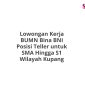 Lowongan Kerja BUMN Bina BNI Posisi Teller untuk SMA Hingga S1 Wilayah Kupang