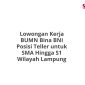 Lowongan Kerja BUMN Bina BNI Posisi Teller untuk SMA Hingga S1 Wilayah Lampung
