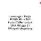 Lowongan Kerja BUMN Bina BNI Posisi Teller untuk SMA Hingga S1 Wilayah Magelang