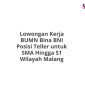 Lowongan Kerja BUMN Bina BNI Posisi Teller untuk SMA Hingga S1 Wilayah Malang