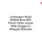 Lowongan Kerja BUMN Bina BNI Posisi Teller untuk SMA Hingga S1 Wilayah Manado