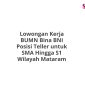 Lowongan Kerja BUMN Bina BNI Posisi Teller untuk SMA Hingga S1 Wilayah Mataram
