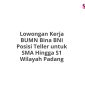 Lowongan Kerja BUMN Bina BNI Posisi Teller untuk SMA Hingga S1 Wilayah Padang