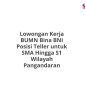 Lowongan Kerja BUMN Bina BNI Posisi Teller untuk SMA Hingga S1 Wilayah Pangandaran