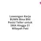 Lowongan Kerja BUMN Bina BNI Posisi Teller untuk SMA Hingga S1 Wilayah Pati
