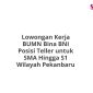 Lowongan Kerja BUMN Bina BNI Posisi Teller untuk SMA Hingga S1 Wilayah Pekanbaru