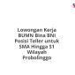 Lowongan Kerja BUMN Bina BNI Posisi Teller untuk SMA Hingga S1 Wilayah Probolinggo