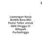 Lowongan Kerja BUMN Bina BNI Posisi Teller untuk SMA Hingga S1 Wilayah Purbalingga