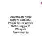 Lowongan Kerja BUMN Bina BNI Posisi Teller untuk SMA Hingga S1 Wilayah Purwakarta
