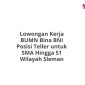 Lowongan Kerja BUMN Bina BNI Posisi Teller untuk SMA Hingga S1 Wilayah Sleman