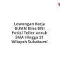 Lowongan Kerja BUMN Bina BNI Posisi Teller untuk SMA Hingga S1 Wilayah Sukabumi