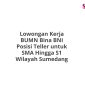 Lowongan Kerja BUMN Bina BNI Posisi Teller untuk SMA Hingga S1 Wilayah Sumedang