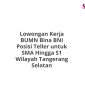 Lowongan Kerja BUMN Bina BNI Posisi Teller untuk SMA Hingga S1 Wilayah Tangerang Selatan