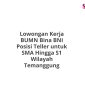Lowongan Kerja BUMN Bina BNI Posisi Teller untuk SMA Hingga S1 Wilayah Temanggung