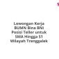 Lowongan Kerja BUMN Bina BNI Posisi Teller untuk SMA Hingga S1 Wilayah Trenggalek