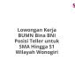 Lowongan Kerja BUMN Bina BNI Posisi Teller untuk SMA Hingga S1 Wilayah Wonogiri