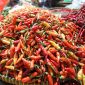 Harga Sembako di Jawa Timur 25 Februari 2025 (Dok. Ist)