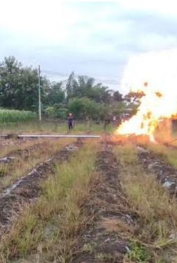 Gas Bocor dari Sumur Bor Masjid di Bojonegoro, Pertamina Lakukan Pembakaran