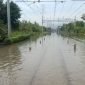Banjir di Batang (Dok. Ist)