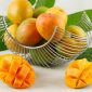 Mangga (Dok. Ist)