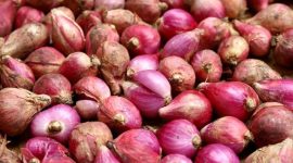 Bawang Merah (Dok. Ist)