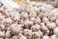 Kenaikan bawang putih (Dok. Ist)