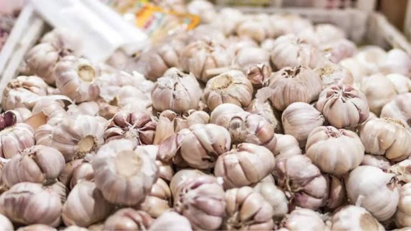 Kenaikan bawang putih (Dok. Ist)