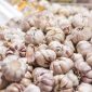 Kenaikan bawang putih (Dok. Ist)