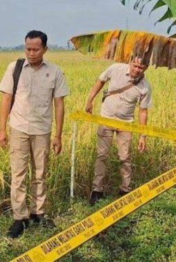 Bayi Laki-laki Ditemukan di Sawah Madiun, Diduga Dibuang Orang Tuanya