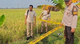 Lokasi penemuan bayi di Madiun (Dok. Ist)