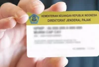 Cara Mudah Cek NPWP Aktif atau Tidak Secara Online dan Offline