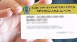 Cara Mudah Cek NPWP Aktif atau Tidak Secara Online dan Offline