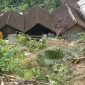 Rumah warga yang terdampak tanah longsor (Dok. Ist)