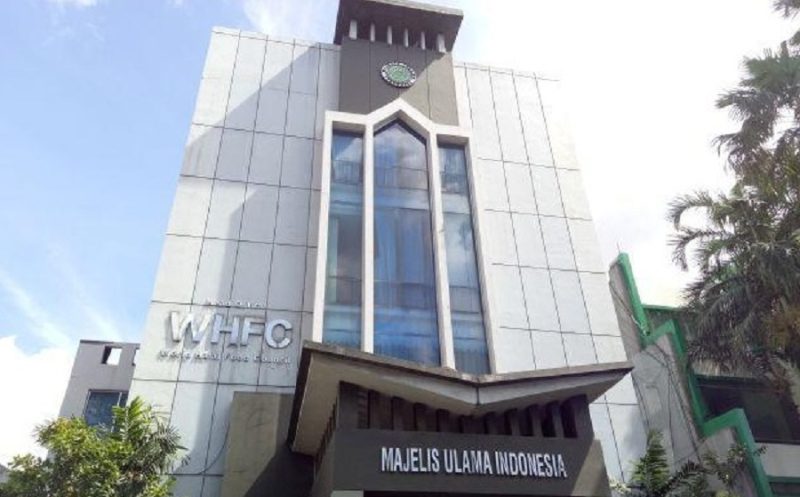 MUI Tegas Menolak Rencana Evakuasi Warga Gaza ke Indonesia