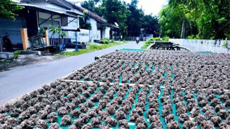 Rengginang cumi khas Situbondo (Dok. Ist)