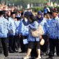 Sebanyak 1.967 CPNS Mengundurkan Diri