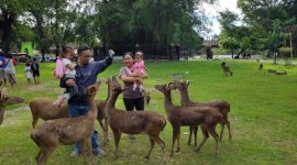 Taman Balekambang Solo (Dok. Ist)