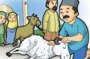 Ilustrasi idul Adha (Dok. Ist)
