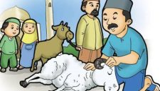 Ilustrasi idul Adha (Dok. Ist)