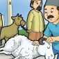 Ilustrasi idul Adha (Dok. Ist)