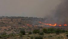 Kebakaran Hutan Hebat Melanda Israel