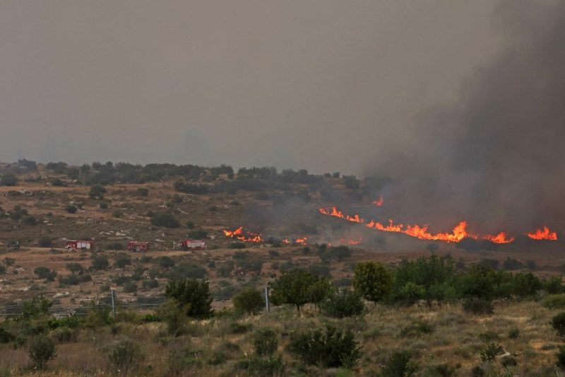 Kebakaran Hutan Hebat Melanda Israel